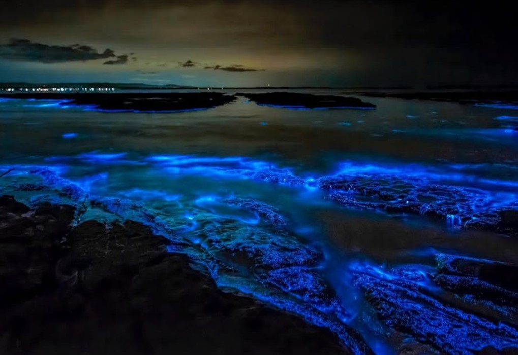 Mosquito Bay in Vieques