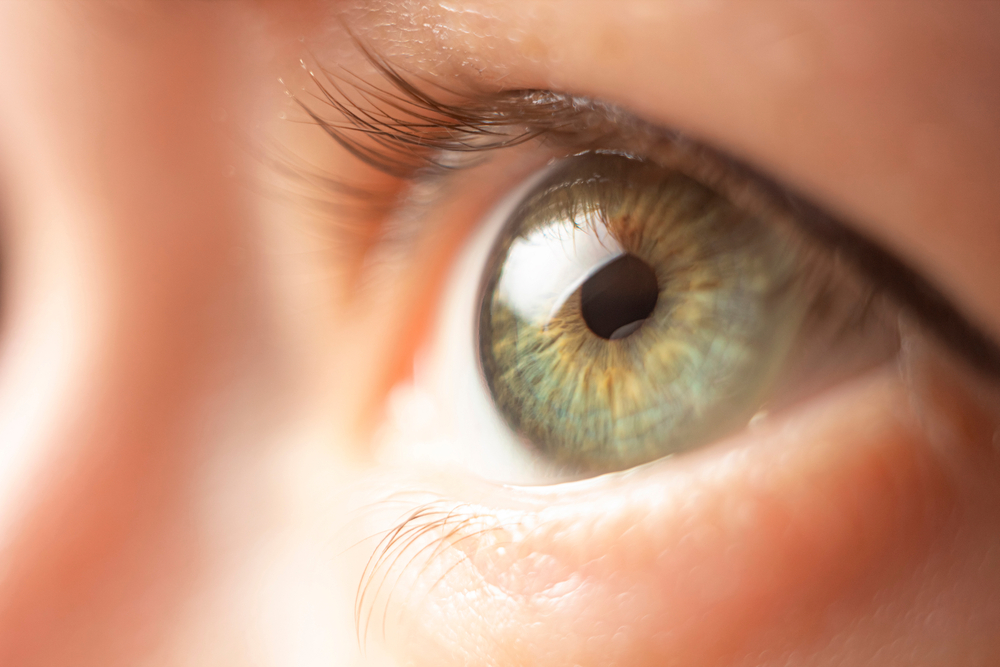 up close shot of green eyes