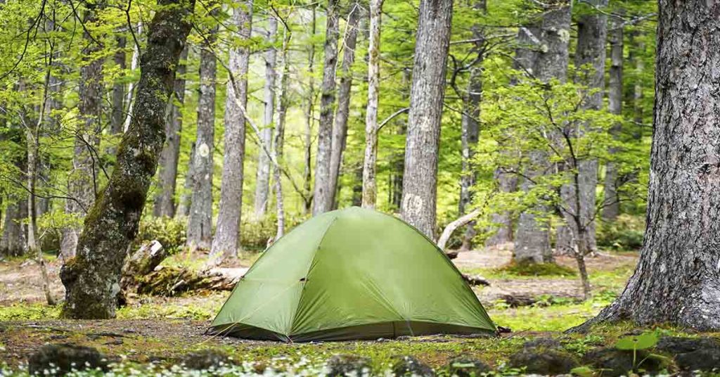 Tragic Camping Incident: 12-Year-Old Boy and Grandfather Found Dead in Tent - Featured image