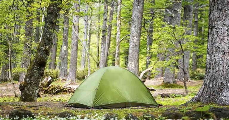 Tragic Camping Incident: 12-Year-Old Boy and Grandfather Found Dead in Tent - Featured image