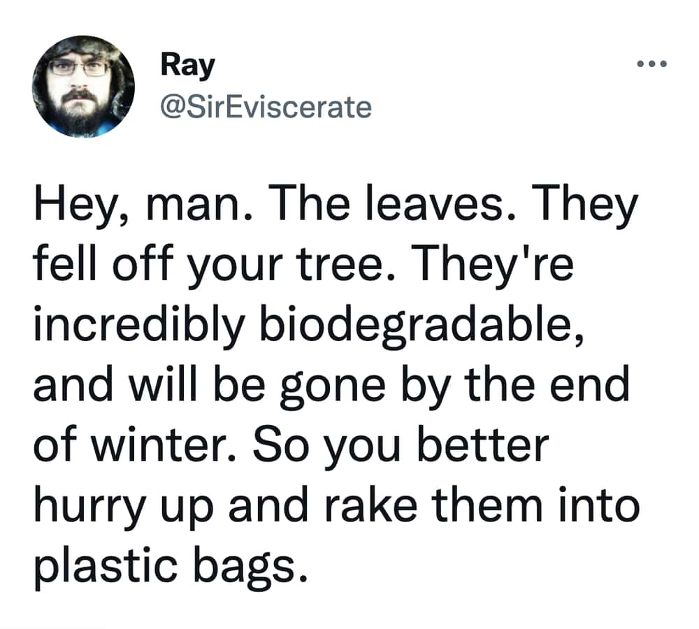 The Great Leaf Panic: A War on Biodegradability