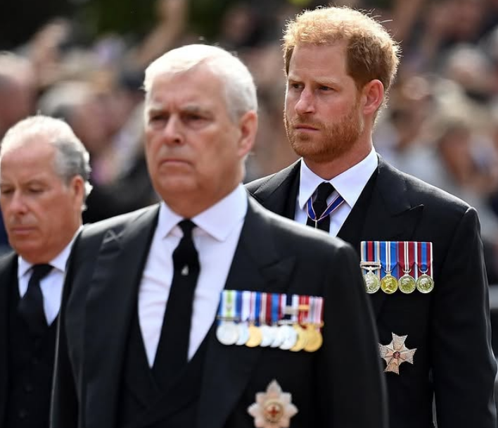 Prince Harry, Duke of Sussex (& son of the current monarch), has faced a legal setback in his quest to assume responsibility for his family’s security while treading on U.K. soil.