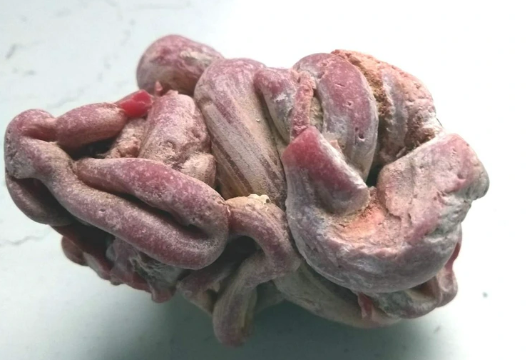 The twisted and knotted object in the image might look like something biological, but it is actually a glob of Hilti HIT-RE 500