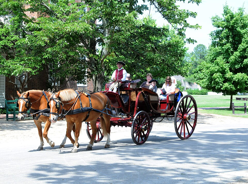Visitors experiencing history firsthand in a horse-drawn carriage ride through Williamsburg's tree-lined colonial streets.