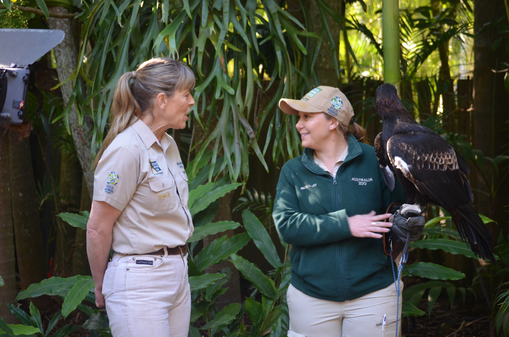 On July 25, 2018, Terri Irwin, wife of the late Steve Irwin, as well as her son, Robert Irwin, were seen with a camera crew in Beerwah, Queensland, Australia, filming for a new Animal Planet series.