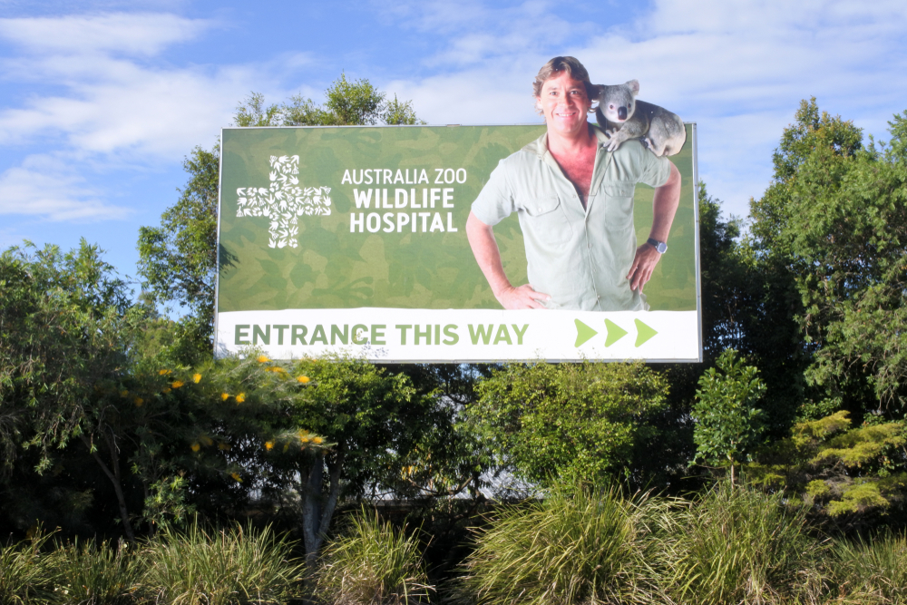 SUNSHINE COAST - JAN 25 2019:Steve Irwin and Koala on Australia Zoo Wildlife Hospital entrance sign. It's one of the world's largest and busiest wildlife hospitals saving Australia's native species,