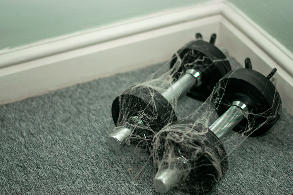 unused sport equipment dumbbells in a corner covered in spider web 