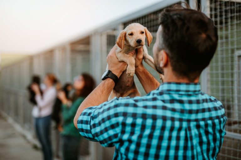 Why Doctors Are Recommending Pet Ownership for Health - Featured image