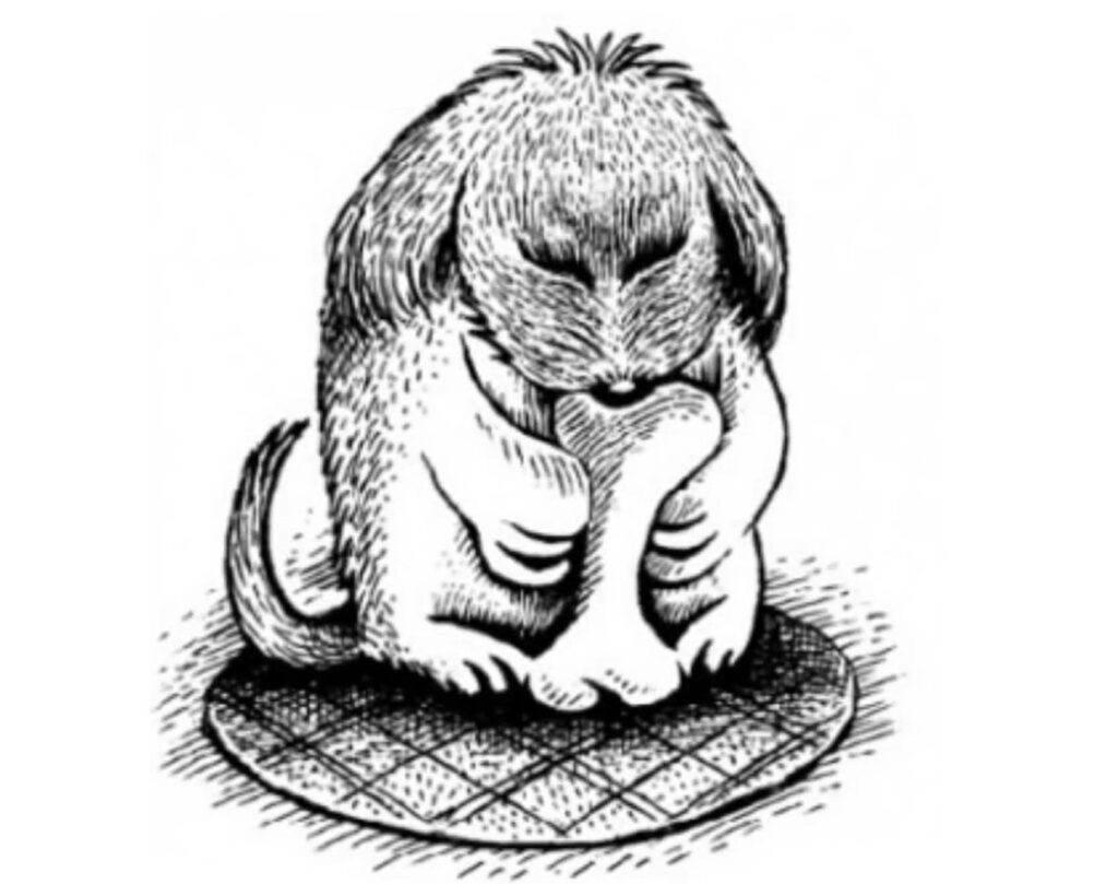 dog drawing