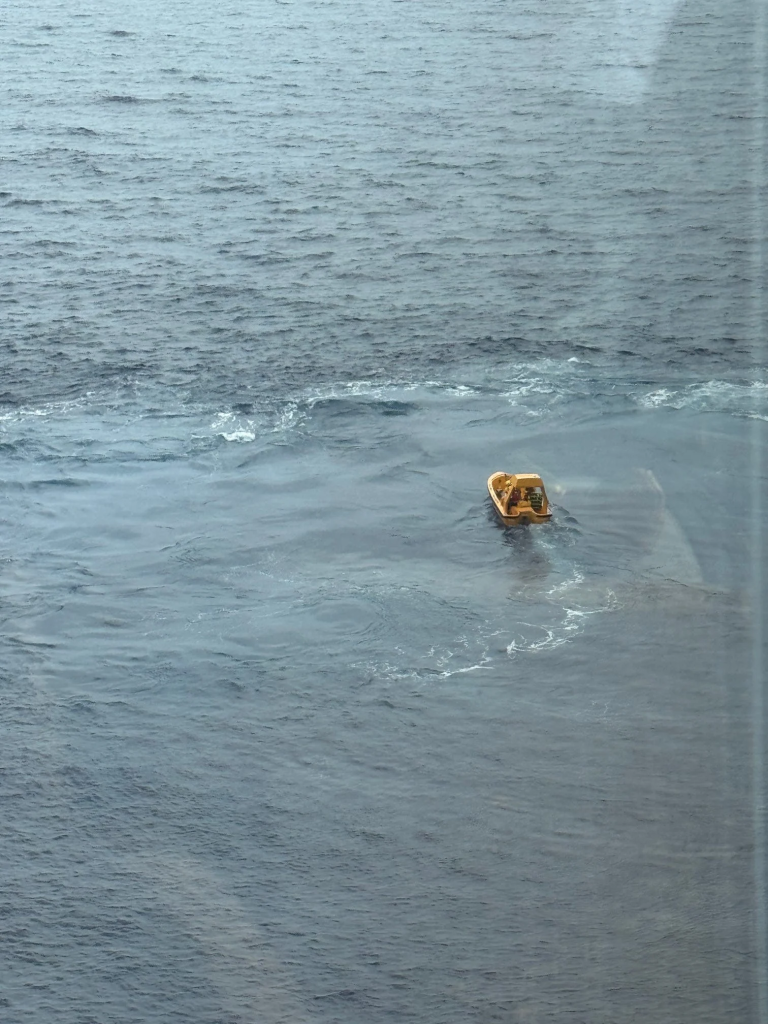 The Disney Dream was heading back to Fort Lauderdale, Florida from the Bahamas when the father and child went overboard and were safely rescued by the ship's crew,