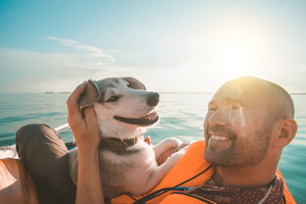 Dog and owner on yacht board on the sunset. Friendship concept. Orange yacht and life-jacket. Funny smiling dog.
