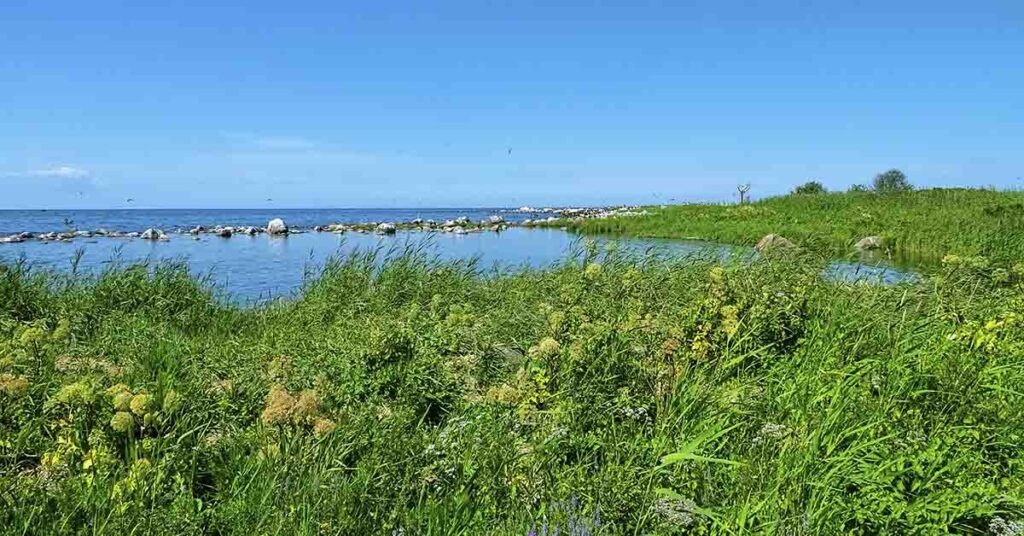 Why Men Are Banned from This Remote Island in Finland - Featured image