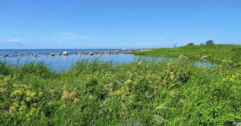 Why Men Are Banned from This Remote Island in Finland - Featured image