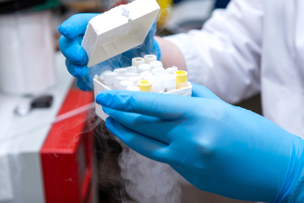 frozen eggs in vitro. Reproductive medicine, artificial insemination.
