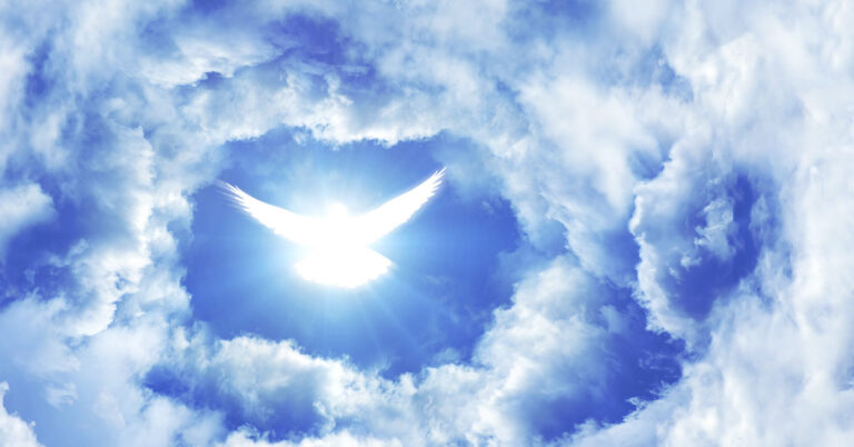 When Grief Feels Like Presence: Understanding Post-Loss Experiences - Featured image