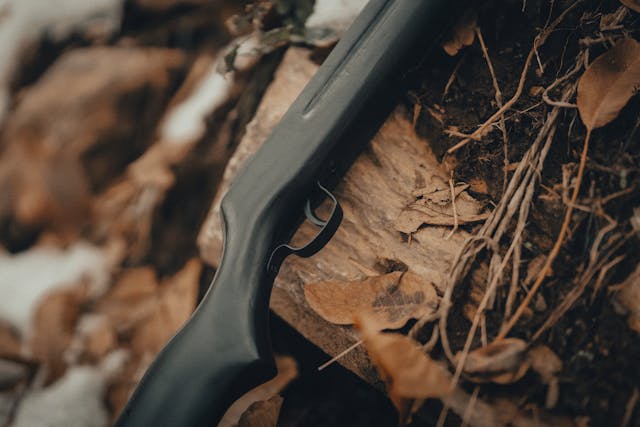 a rifle against a tree