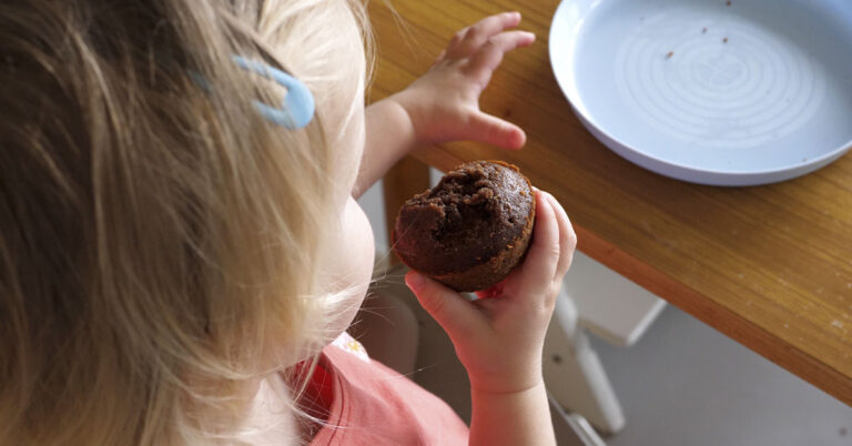Parents Divided After Mom Uses Baby Gate to Curb Her 5-Year-Old’s Constant Snacking - Featured image