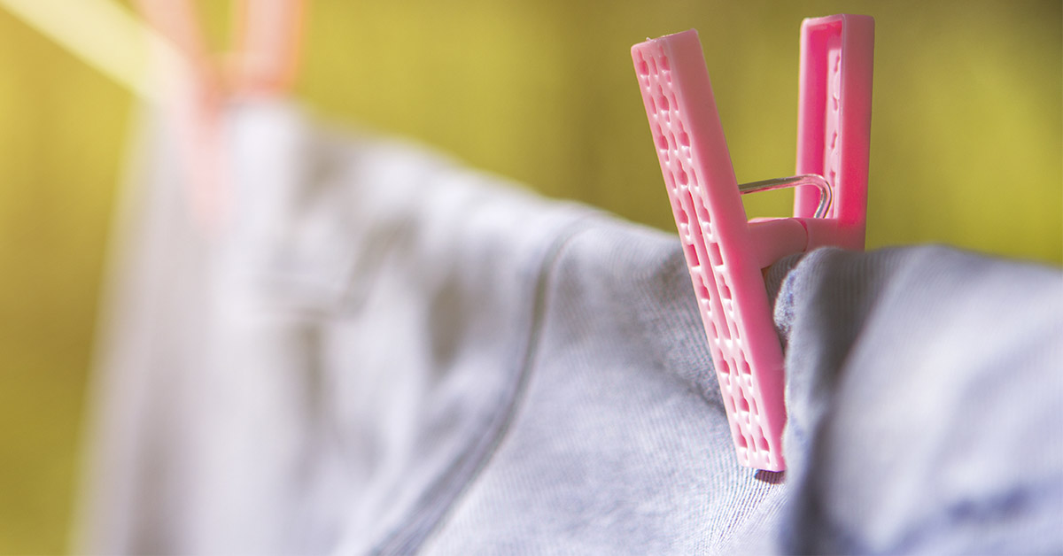 The Curious Reason Insects Are Visiting Your Clothesline