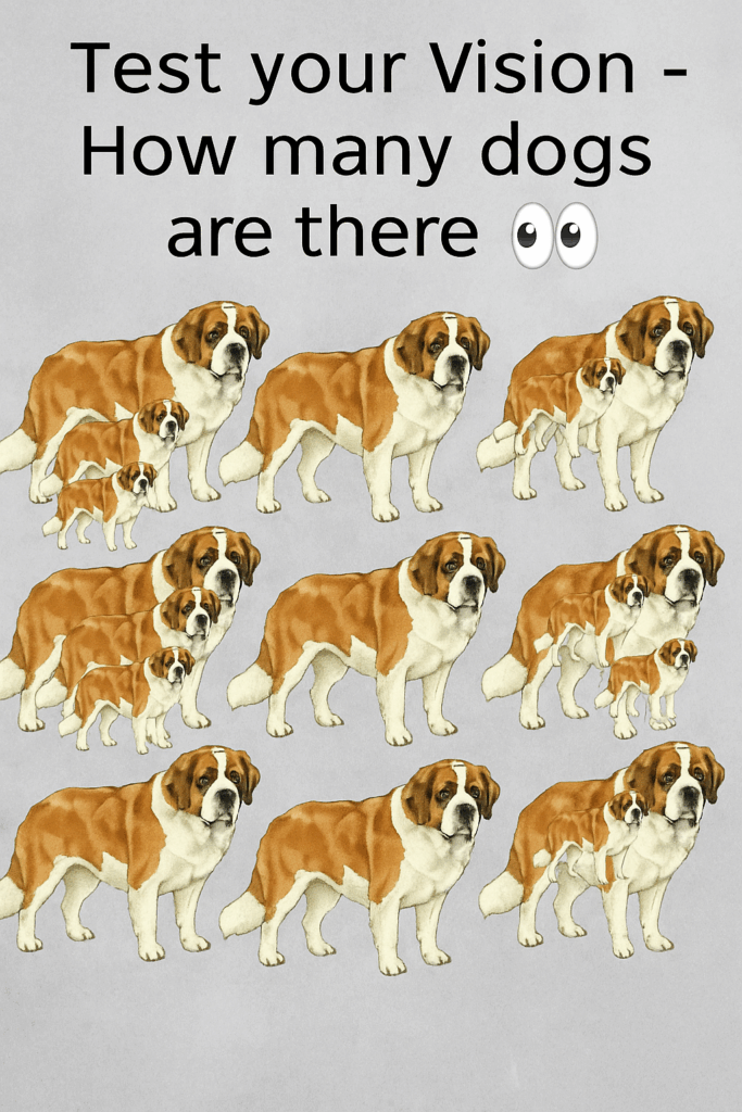 series of images of dogs