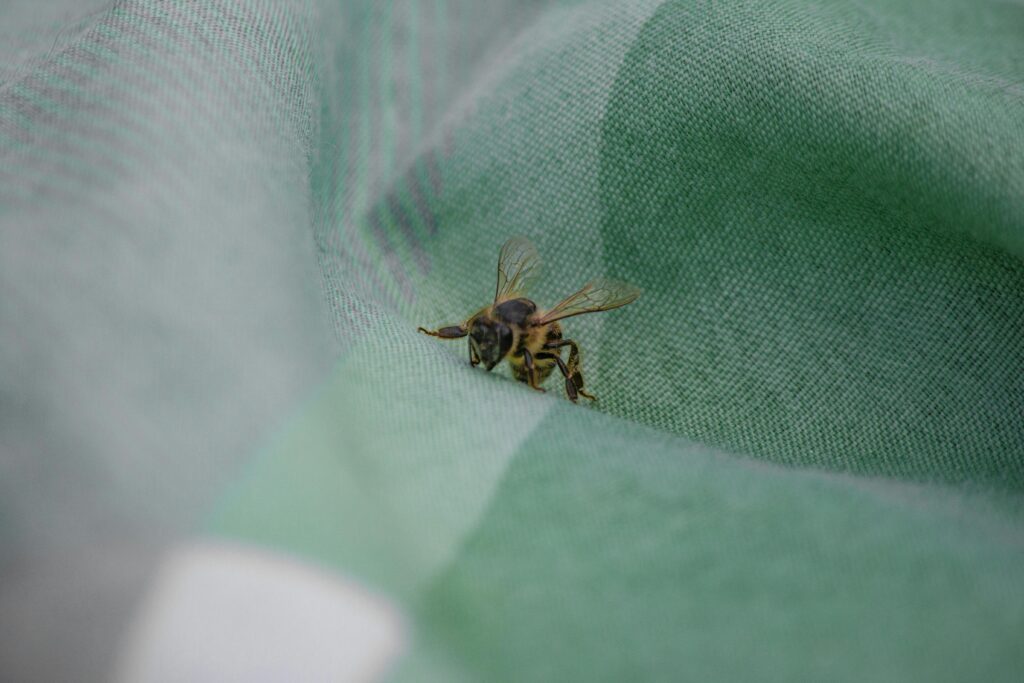 A honeybee rests on folds of soft green linen fabric, its translucent wings visible against the woven texture.