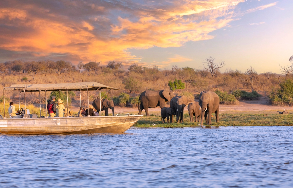 Chobe National Park, Botswana : Tourists in a boat observe elephants along the riverside of Chobe River in Chobe National Park, Botswana.