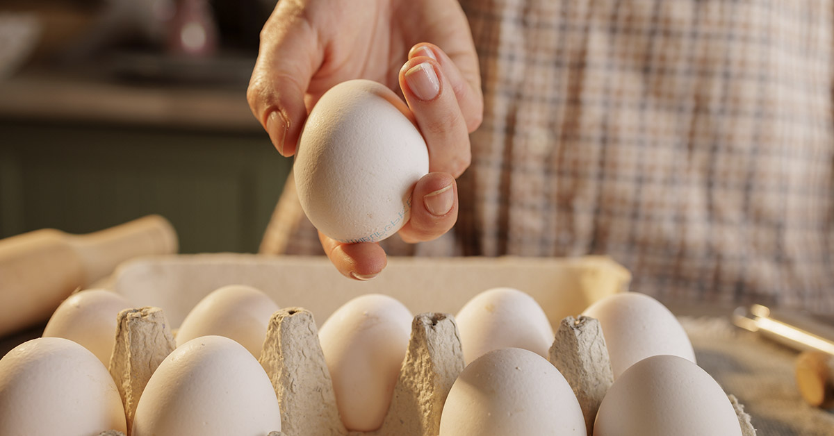 How This Mom Outsmarted Her Petty Neighbor – A Short Story