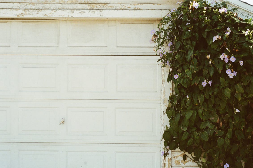 Green Leaf Plant Beside garage door