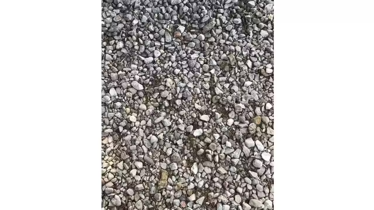 a camouflaged snake hides amoung a background of grey stones. 