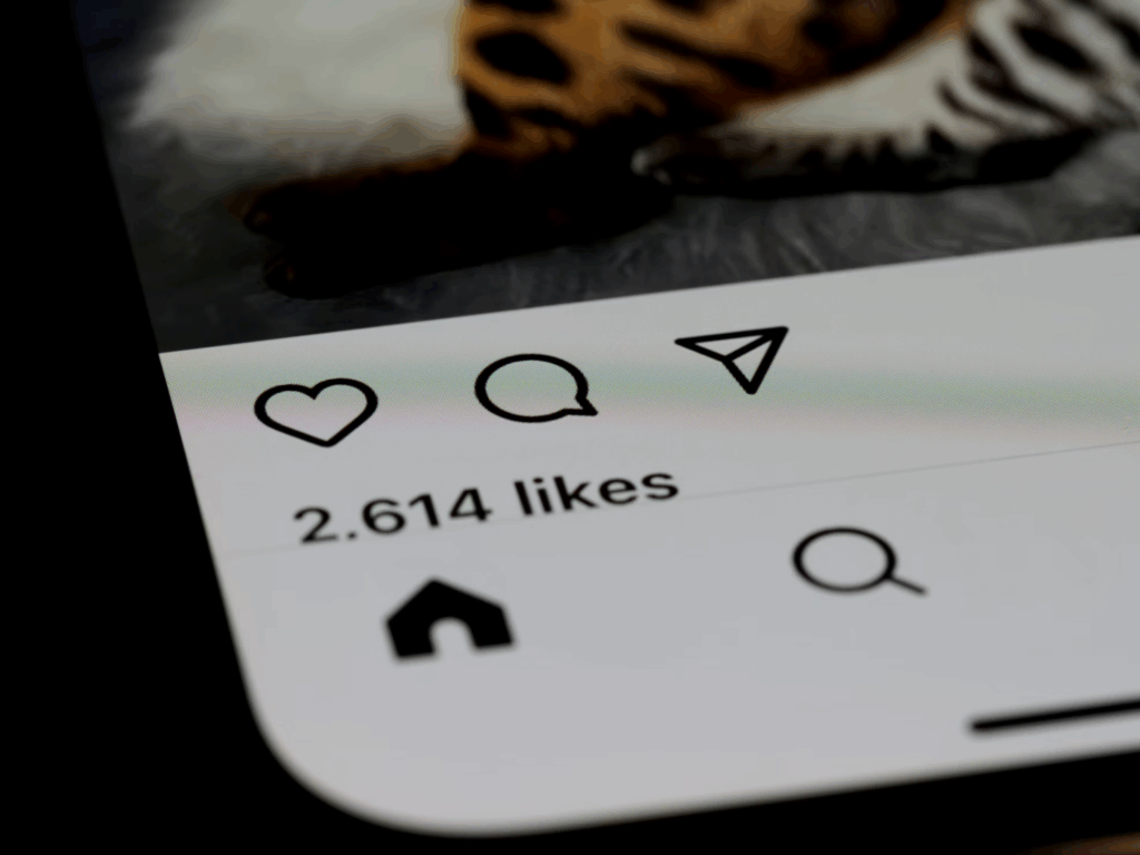 image showing likes on an Instagram post