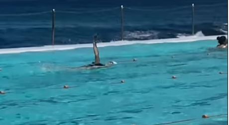 woma holding phone above water