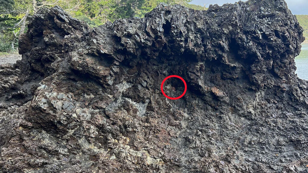 red circle over hidden girl in rocky outcrop