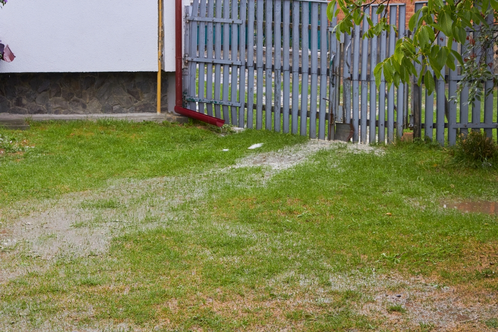 flooded yard,grass in the water in the yard in summer