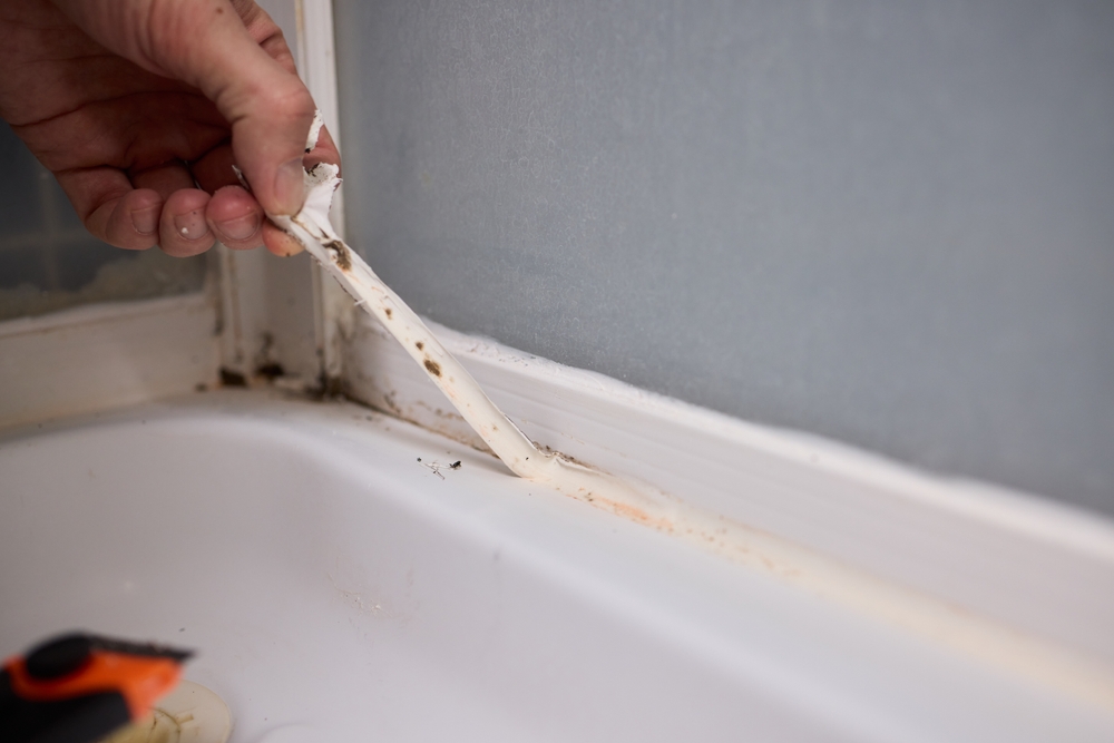 Effective Methods for Cleaning Mold and Mildew from Shower Seals in Your Bathroom Space