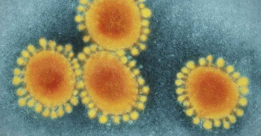 11-Year-Old Boy Dies from Severe Flu Before Christmas: ‘He Never Got to Open His Gifts’ - Featured image