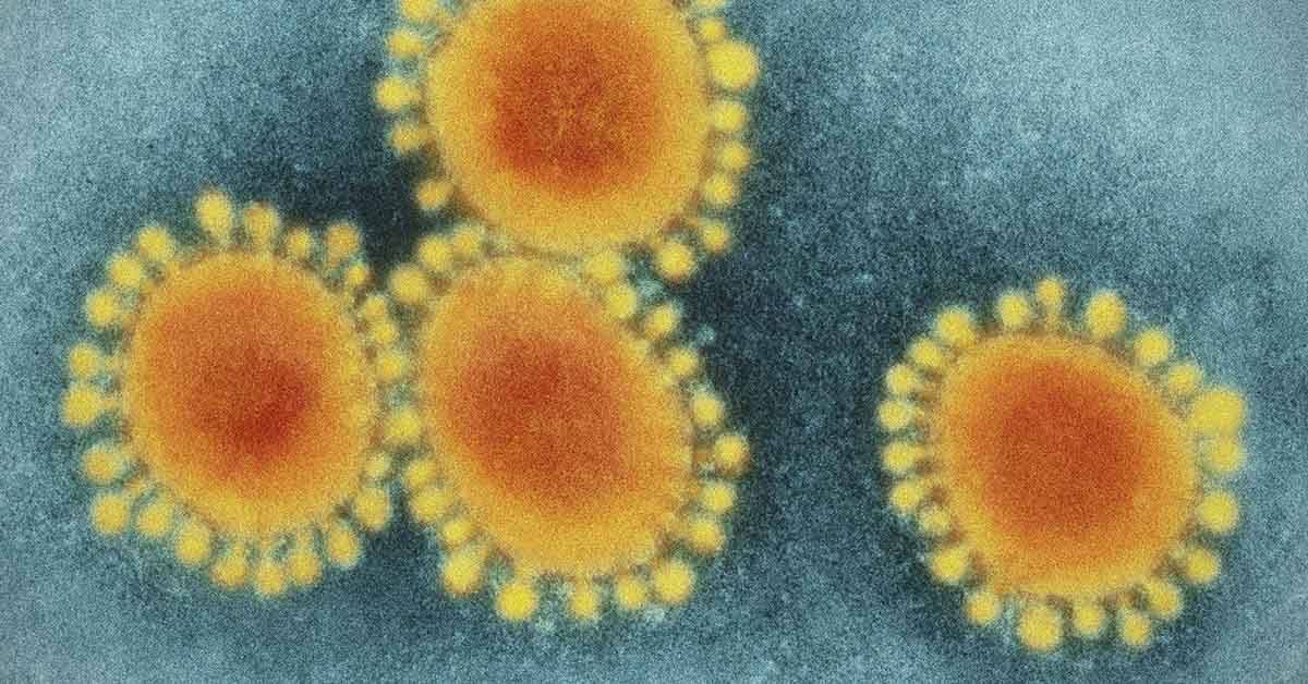 11-Year-Old Boy Dies from Severe Flu Before Christmas: ‘He Never Got to Open His Gifts’