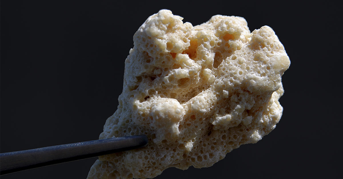 Twins Who Tested Positive for Crack at Birth Overcome Abuse to Fight for Foster Kids