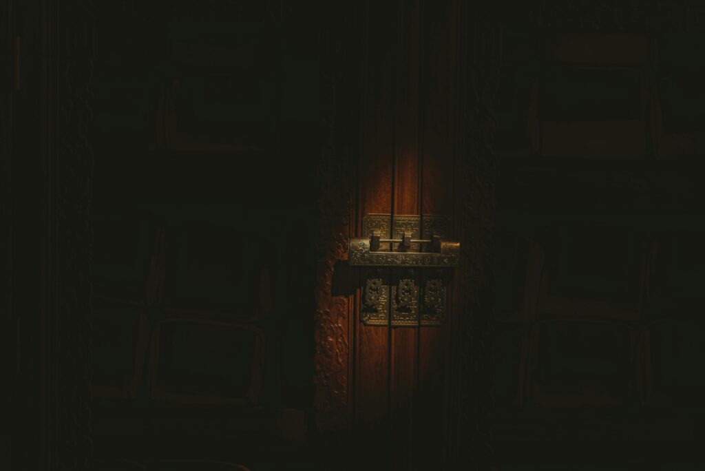 An ornate antique door lock and handle faintly illuminated in an otherwise pitch-black space, the carved wooden door panel barely visible in the dim light.