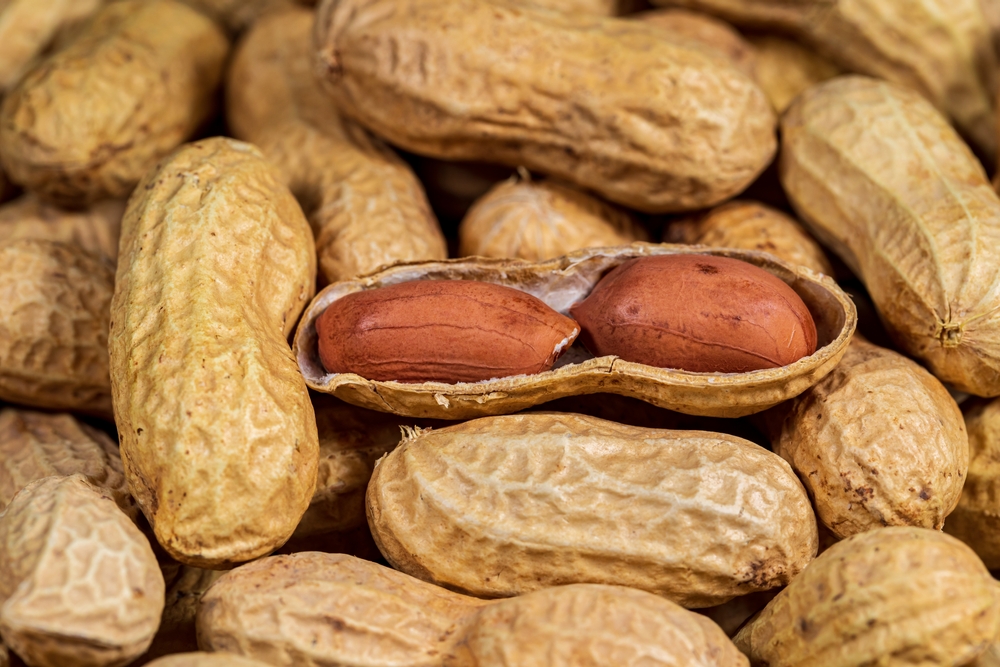 peanuts in shell closeup. peanut farming, nut allergies and healthy snack food concept