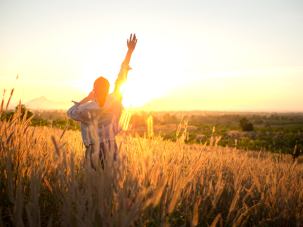 Beautiful Young Woman in a field.