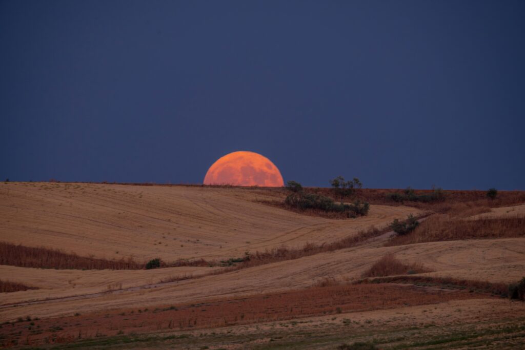 A large orange-red moon rising just above a dry, golden hillside landscape at dusk, with sparse vegetation and rolling terrain stretching across the foreground under a dark blue sky.