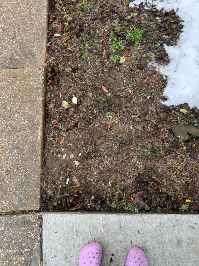 patch of grass and snow next to the sidewalk with someones pink Crocs.