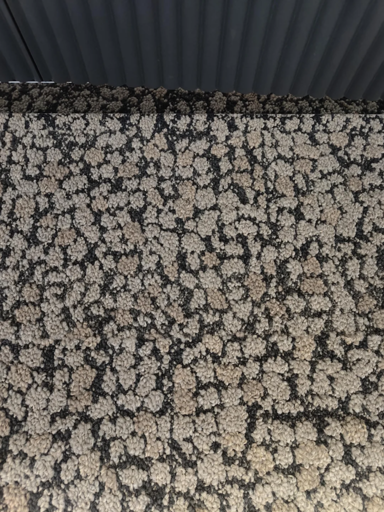 black and cream textured carpet