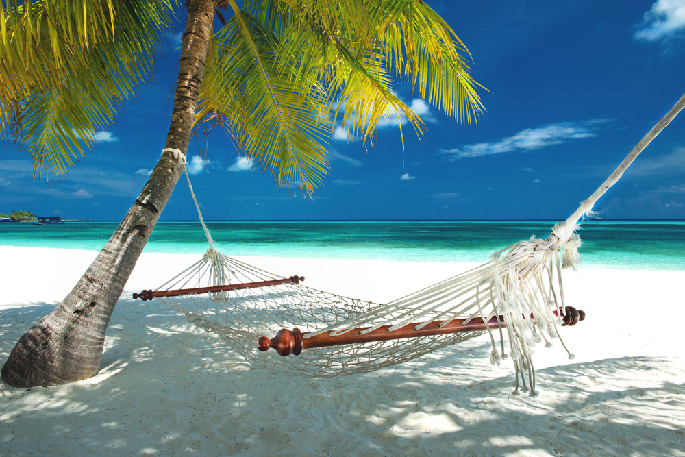 beach hammock hanging on a palm tree on the maldives