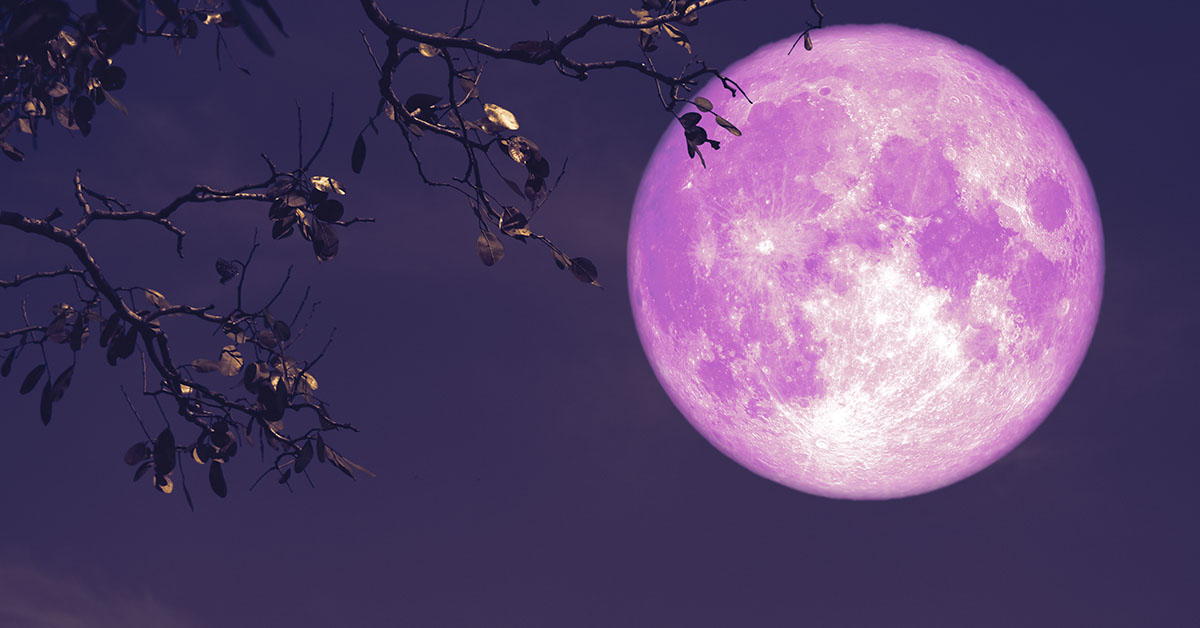 The April Pink Moon is Bursting With Meaning