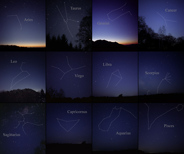 A grid of 12 photographs of the night sky, each showing a different zodiac constellation outlined in white lines against a backdrop of stars and treelines at dusk. The signs run from Aries through Pisces, with each constellation labeled by name.