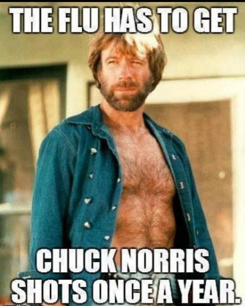 The flu has to get a Chuck Norris shot once a year. 