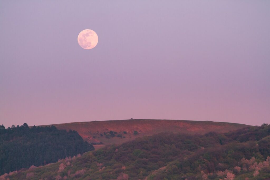 A full moon rising over rolling green hills at dusk, with the sky cast in soft pink and purple tones and scattered trees lining the hillside.