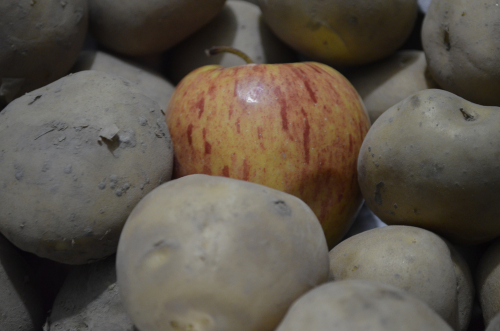 An apple in potato sack. It is said that apple stop potatoes to goes soggy and spoiled 