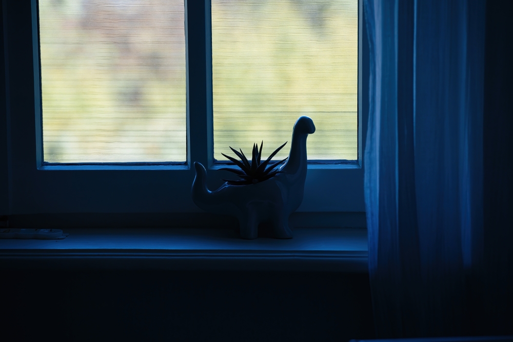 A silhouette of a dinosaur-shaped planter with a small plant inside is placed on a windowsill, set against a softly lit window with sheer curtains, creating a tranquil and whimsical indoor scene.