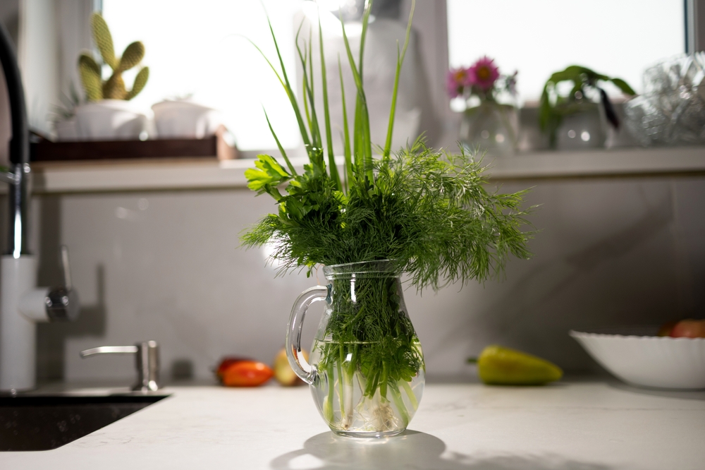 A mix of vibrant green herbs fills a glass jar with water on a light kitchen counter. Natural light illuminates the scene, enhancing the fresh feel of the kitchen atmosphere.